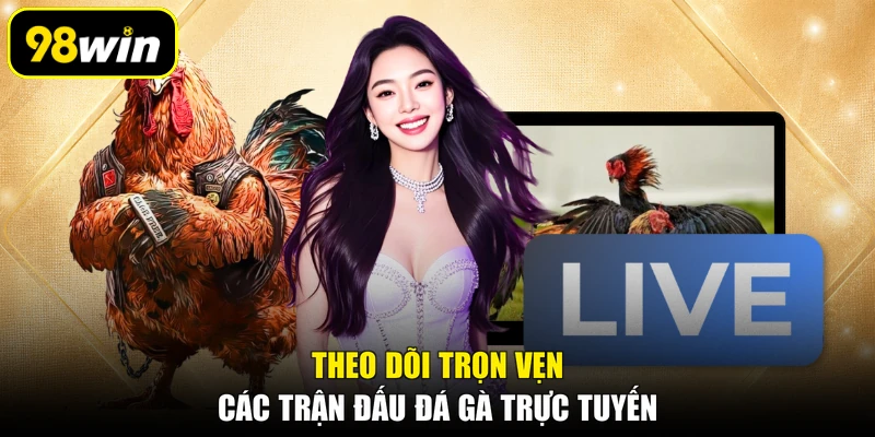 Theo dõi trọn vẹn các trận đấu đá gà trực tuyến